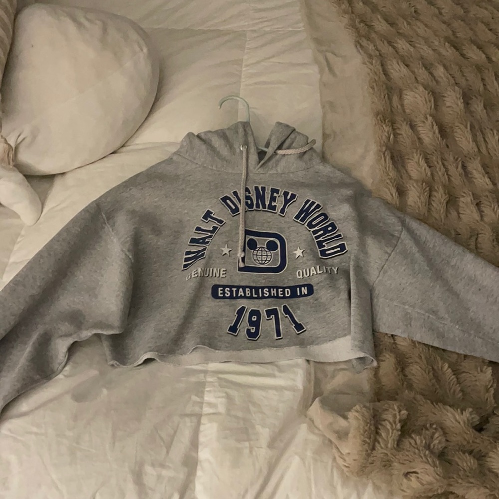 Cropped Disney Hoodie